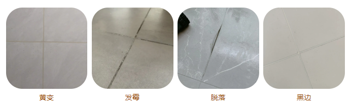 微信圖片_20240515093557.png