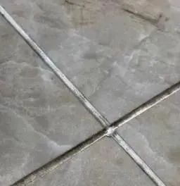 1733535892120970.jpg 微信圖片_20241207093248.jpg