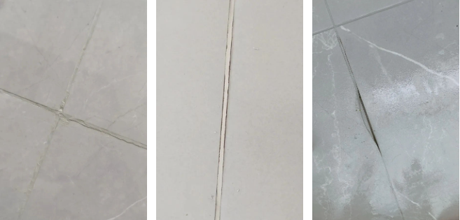 微信圖片_20241204091943.png